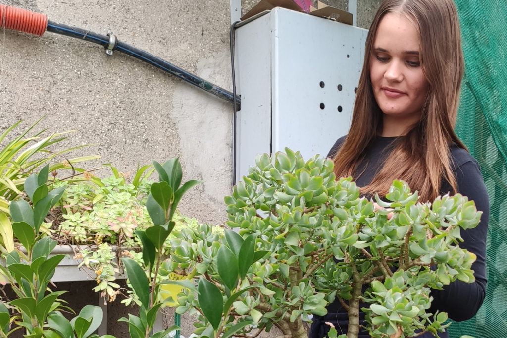 Élève en ULIS-SEGPA espace rural et environnement faisant l'entretien des espaces verts du collège Saint-Charles